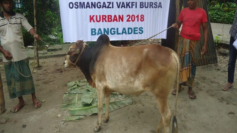 Qurbani-2-e1754374471313.jpg